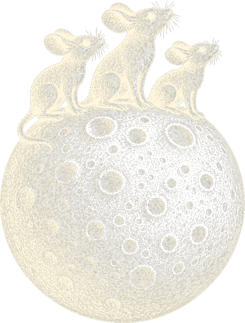 Three mice perched on a full moon, looking up at the stars